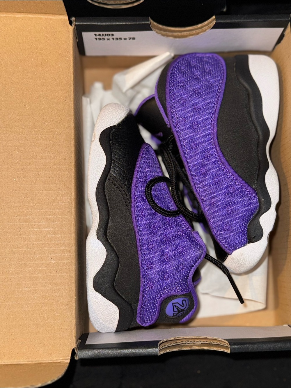 Jordan 13